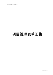 项目实施规范(试行)