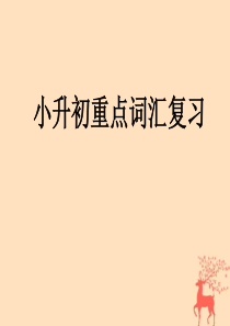 小升初英语 重点词汇复习课件