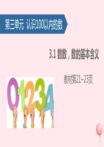 一年级数学下册 三 认识100以内的数（数数，数的基本含义）课件 新人教版