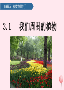 一年级科学下册 第三单元 和植物捏个手 8我们周围的植物课件 青岛版六三制