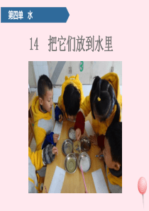 一年级科学上册 第四单元 水 14 把它们放到水里课件 青岛版五四制
