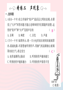 四川省绵阳市2019年中考物理 声现象专题精炼复习课件