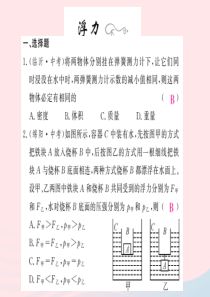 四川省绵阳市2019年中考物理 浮力专题精炼复习课件