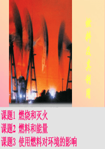 山西省2018中考化学复习 燃料及其利用课件