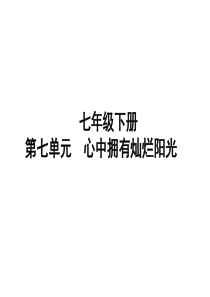 山东省聊城市2019年中考道德与法治 七下 第七单元 心中拥有灿烂阳光复习课件