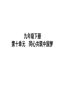山东省聊城市2019年中考道德与法治 九下 第十单元 同心共筑中国梦复习课件