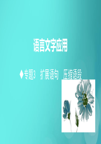 山东省2020高考语文二轮复习 语言文字应用 专题3 扩展语句 压缩语段课件