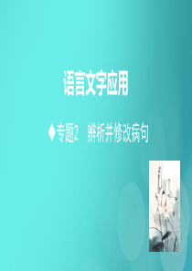 山东省2020高考语文二轮复习 语言文字应用 专题2 辨析并修改病句课件
