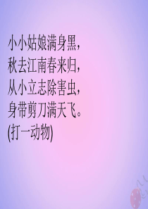 三年级语文下册 第一单元 2 燕子课件 新人教版
