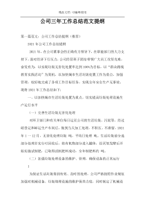 公司三年工作总结范文提纲