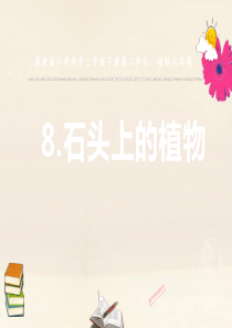 三年级科学下册 第二单元 植物与环境 8 石头上的植物课件3 苏教版