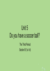 七年级英语上册 Unit 5 Do you have a soccer ball Section B