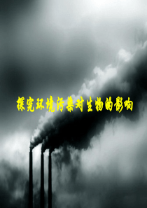 七年级生物下册 4.7.2探究环境污染对生物的影响课件 （新版）新人教版