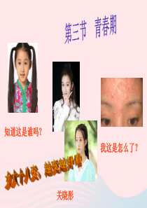 七年级生物下册 4.1.3青春期课件2 （新版）新人教版