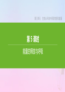 七年级生物上册 第三单元 生物从环境中获取物质和能量 第05课时 能量的释放与呼吸课件（新版）苏科版