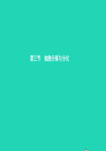 七年级生物上册 2.3.3 细胞的分裂与分化习题课件 （新版）苏教版