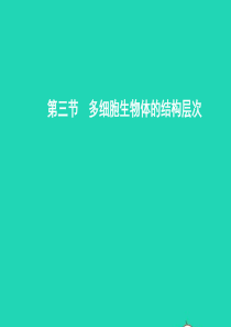 七年级生物上册 1.2.3 多细胞生物体的结构层次课件 （新版）济南版