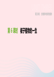 内蒙古包头市2019年中考生物 第三单元 生物圈中的绿色植物 第06课时 被子植物的一生复习课件