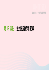 内蒙古包头市2019年中考生物 第六单元 生命的延续和发展 第19课时 生物的遗传和变异复习课件