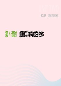 内蒙古包头市2019年中考生物 第二单元 生物体的结构层次 第04课时 细胞怎样构成生物体复习课件