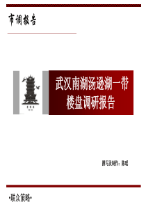 【武汉房地产市调报告01】[1]