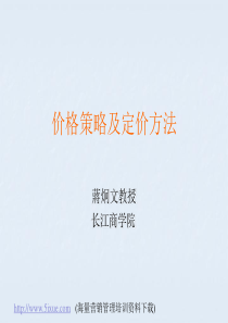 价格策略及定价方法
