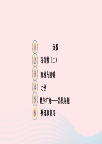 六年级数学下册 第六单元 整理和复习 第九课时 式与方程练习课课件 新人教版