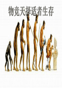 六年级科学下册 第1单元 生物的进化 1.2 物竞天择课件2 （新版）湘科版