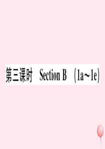 九年级英语全册 Unit 13 We’re trying to save the earth第三课时