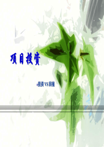 项目投资