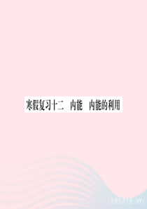 九年级物理下册 寒假复习十二 内能 内能的利用习题课件 （新版）粤教沪版