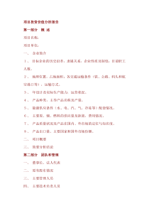 项目投资价值分析报告模版
