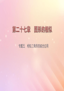 九年级数学下册 第27章 图形的相似 专题五 相似三角形的综合应用的综合应用课件