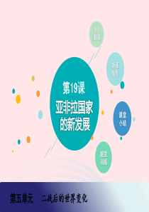 九年级历史下册 第五单元 二战后的世界变化 第19课 亚非拉国家的新发展教学课件 新人教版