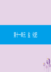 九年级化学下册 第十一单元 盐 化肥 课题1 生活中常见的盐 第1课时 氯化钠、碳酸钠、碳酸氢钠和碳