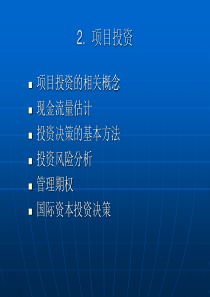 项目投资的相关概念