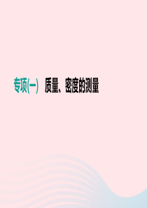江西省2019中考物理二轮专项 专项01 质量、密度的测量课件