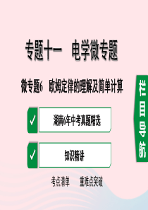 湖南省2020年中考物理一轮复习 专题十一 电学微专题 微专题6 欧姆定律的理解及简单计算课件