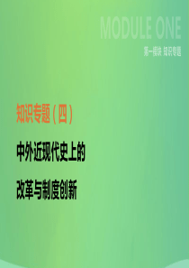 河北省2019年中考历史复习 第一模块 知识专题04 中外近现代史上的改革与制度创新课件