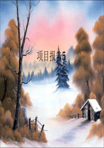 项目报告5-发泡材料