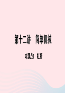 广东省2020中考物理一轮复习 第十二讲 简单机械 命题点1 杠杆课件