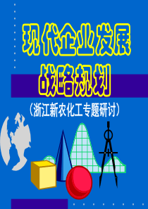 企业战略(2)