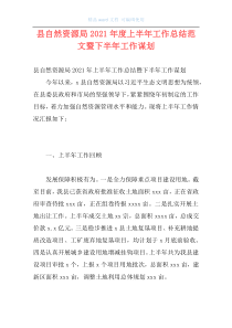 县自然资源局2021年度上半年工作总结范文暨下半年工作谋划