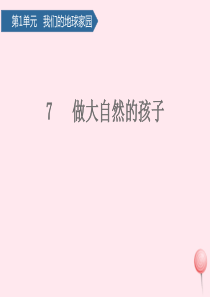 二年级科学上册 我们的地球家园 7做大自然的孩子课件 教科版