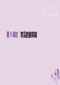 北京市2019年中考化学总复习 主题三 身边的化学物质 第09课时 常见的酸和碱课件