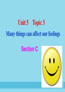 八年级英语下册 Unit 5 Feeling excited Topic 3 Many things