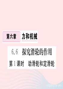 八年级物理下册 6.6 探究滑轮的作用（第1课时 动滑轮和定滑轮）习题课件 （新版）粤教沪版