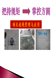 项目放线管理与应用