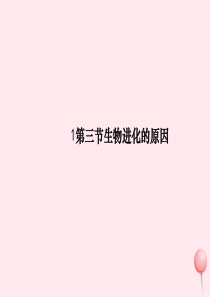 八年级生物下册 第七单元 第三章 第三节 生物进化的原因课件2 （新版）新人教版