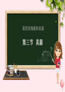 八年级生物上册 第五单元 生物圈中的其他生物 第四章 细菌和真菌 第三节 真菌课件（新版）新人教版